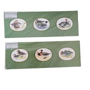 Art Print Italy Ducks Mallard Pintail Wigeon Teal Hunting Lodge Cabin Lake Decor